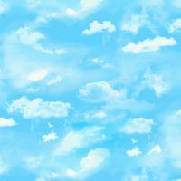 ttMEADOW-CD3958 BLUE